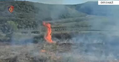 Ndezi zjarr në fshatin Kryekuq dhe rrezikoi Parkun e Divjakës, pranga 29-vjeçarit