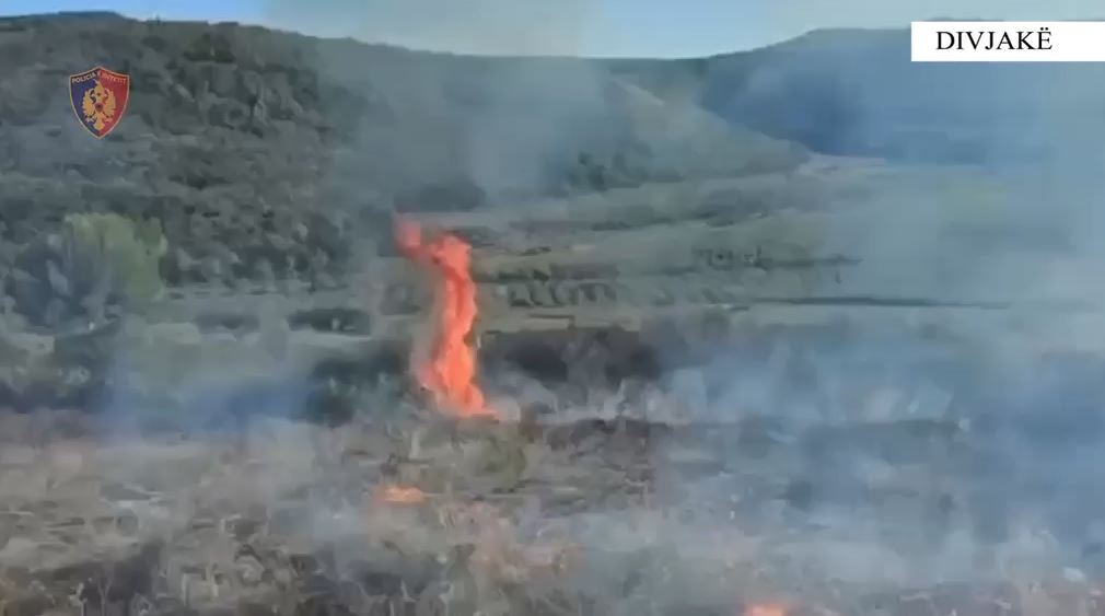 Ndezi zjarr në fshatin Kryekuq dhe rrezikoi Parkun e Divjakës  pranga 29 vjeçarit