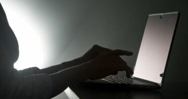 Agjentë të inteligjencës artificiale tentojnë të aksesojnë faqet qeveritare amerikane dhe kanadeze