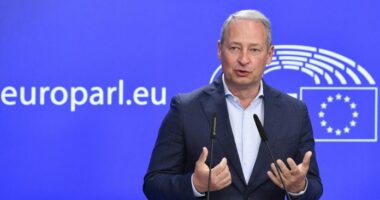 Parlamenti Europian dënon dhunën në protestë/ Raportuesi për Shqipërinë, Schieder: Individë të dhunshëm infliltrohen brenda protestës