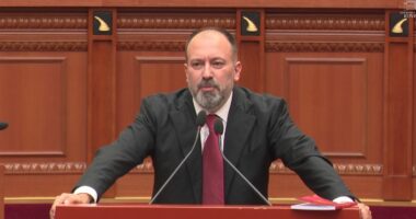 Territorialja debate në Kuvend/ Mazniku: PS nuk ka interesa elektorale. Propozimi me 100 bashki, si lojë kungulleshkash