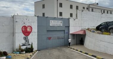 Lirohet 33-vjeçarja që ndodhej në burg me foshnjën