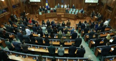 Kosova miraton rezolutën me 14 pika pas vrasjes së Arlinda Zekajt, kërkohet hetim dhe masa urgjente kundër dhunës