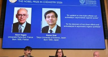 Franca dhe Japonia ndajnë Nobelin e kimisë/ Fitojnë çmimin shkencëtarët HenriB.Kagan dhe Kenso Soai