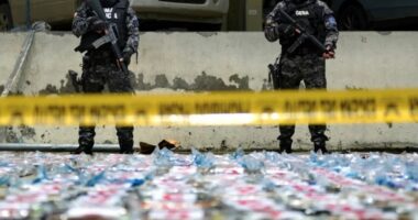 Blic kundër narkotikëve në Ballkan, 50 të arrestuar/ Droga kalonte me kamionë