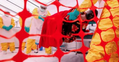 Kenia konfirmon rastin e parë me Ebola