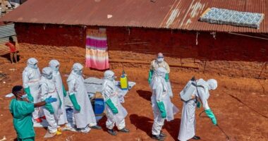 Shpërthimi i Ebolës në Kongo/ Mbi 8 mijë raste dhe 4 mijë viktima