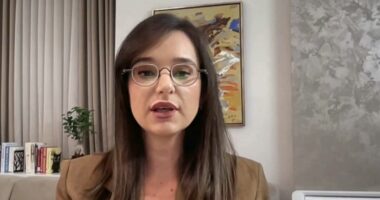 “Në Telegram, Signal ka elementë destabilizimi”, Ekspertja: Studentët janë ‘më të zgjuar’ sesa të godasin bizneset e prindërve të tyre