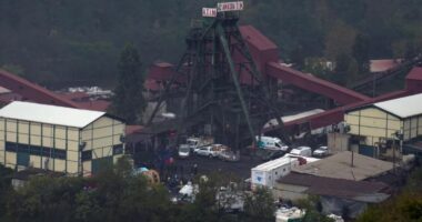 Shembet miniera në Turqi, humbin jetën 5 persona