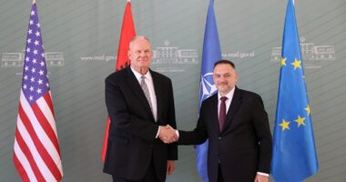 Aleanca strategjike SHBA-Shqipëri/ Ministri i Mbrojtjes pret ambasadorin e SHBA Eric Wendt