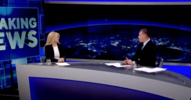 “Protesta, mbi 300 të arrestuar”, gazetarja: Janë identifikuar grupe në rrjetet sociale që nxisnin dhunë…