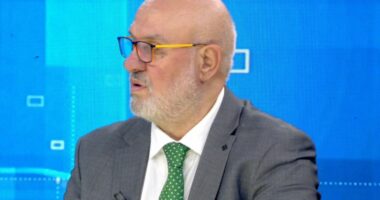 “Avokati, pjesa më kyçe e një dosje”/ Petraj: Veprat nën 5 vjet burg nuk kanë rrezikshmëri shoqërore