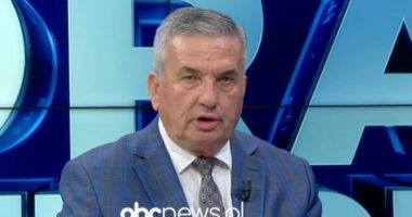 “Qori dhe Shehaj, antifa e Shqipërisë”/ Protestat e dhunshme, Beqiri: Berisha furnizon “grupin e zjarrit:”
