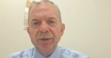“Integrimi i Shqipërisë në BE do ishte arritje historike”/ Nura: Brukseli ka treguar vullnet për zgjerimin