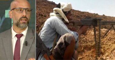 Eksperti Faik Basha: Rebelët janë fuqizuar ushtarakisht, sot flitet se kanë mbi 350 mijë forca