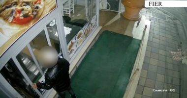 EMRI/ Autor i katër vjedhjeve gjatë tetorit, pranga 30-vjeçarit në Fier