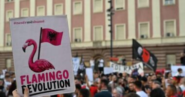 Si u vodhën fondet e Flamingove/ Disa llogari online, si “fluturuan” mijëra dollarë