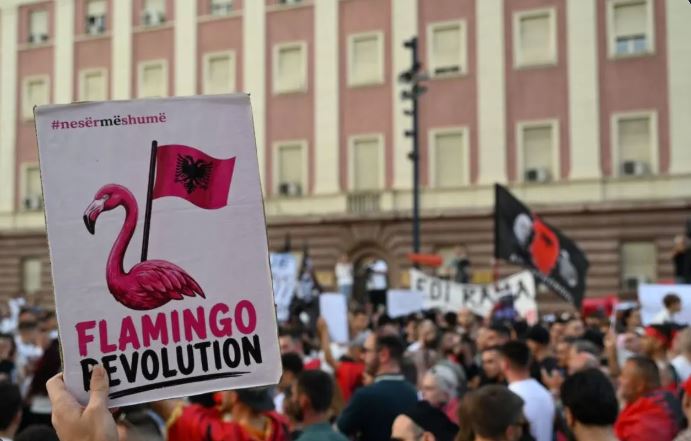 Si u vodhën fondet e Flamingove/ Disa llogari online, si “fluturuan” mijëra dollarë