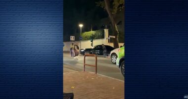 Drejtësia liron dy “flamengot”/ Dy protestues qëlluan me vezë makinën e Ramës, lirohen nga gjykata