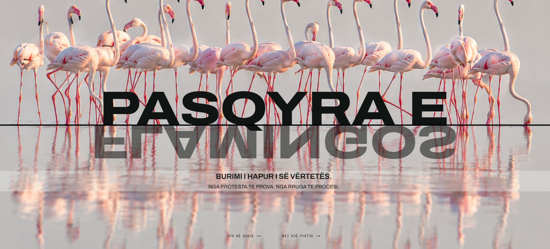 “Pasqyra…” funksionon/ Platforma dixhitale për transparencë ndaj publikut