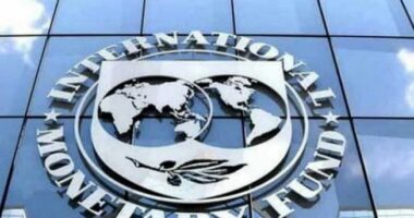 FMN rishikon me rritje ekonominë shqiptare/ Gjatë vitit 2026 parashikohet një rritje me 3.5%, ulet inflacioni