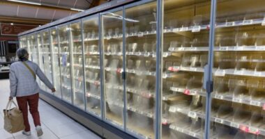 Miliona euro dëme/ Hakerat ngrohin frigoriferët e supermarketeve në Francë, shkrijnë ushqimet