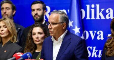Hamza: Është mirë që vendi do të ketë stabilitet politik dhe institucional