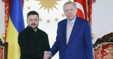 Takim Erdogan-Zelensky në Stamboll të shtunën
