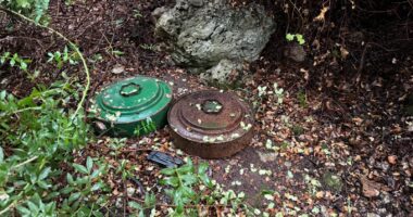 Tërhiqen dy mina antitank në Borsh, transportohen drejt Tiranës