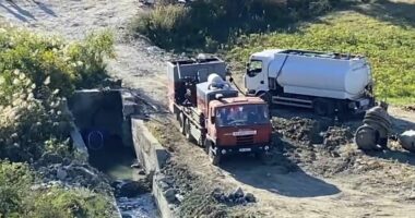 Skandali mjedisor, vazhdon pastrimi në Kasharaj/ Janë hequr nga rezervuari rreth gjysma e peshqve të ngordhur