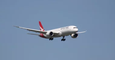 E pazakontë/ Pleshta në avion, pezullohet fluturimi dhe anulohet kthimi drejt Australisë
