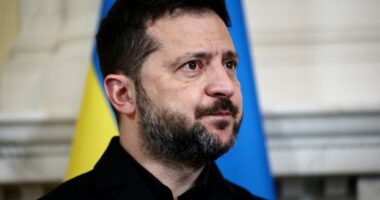 Trump pezulloi sanksionet ndaj Rusisë, Zelensky: Po inkurajon Putin të vazhdojë sulmet