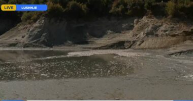 Masakra mjedisore, “ABC News” në Kasharaj/ Nis procesi i dezinfektimit të rezervuarit, Ushtria dhe forcat e tjera në terren
