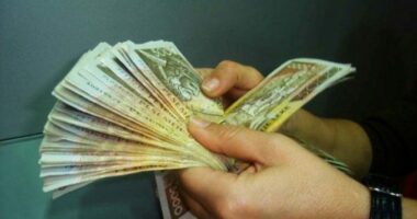 “Fryhet” arka e shtetit/ Të ardhurat arrijnë në 626.6 miliardë lekë në janar-shtator