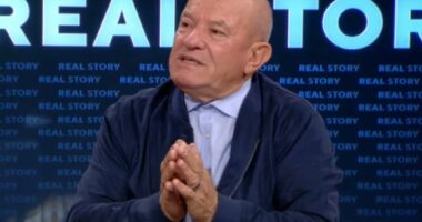 “Berisha mori përgjegjësi politike, i dha fund protestës”, Meçe: Drejtësia ka reaguar në mënyrë absurde