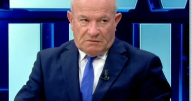 Skandali LaCivita/ Meçe: Përfshirja e Trump, pasi preken interesat amerikane. Berisha influencon interesa ruse