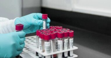 Raportohet vdekja e dytë nga murtaja në spitalin e karantinës në Siberi, rritet alarmi