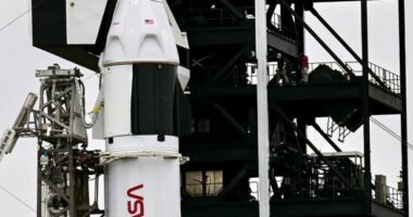“Ekipi 12” i NASA-s kthehet në shtëpi/ Katër astronautët qëndruan 8 muaj në hapësirë