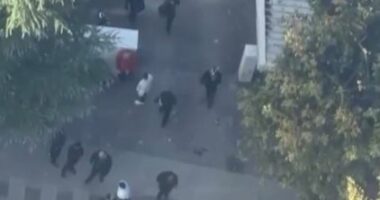 Selia e PD bazë e protestuesve të dhunshëm/ Pamjet filmike tregojnë se si individë problematikë furnizohen me objekte të rrezikshme