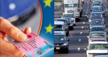 Zgjatet me 5 vite njohja e patentave me Italinë/ MIE: Përfitojnë shqiptarët në Itali dhe italianët në vendin tonë