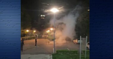 Fytyra e vërtetë e protestës/ “Studentët” që dogjën selinë e PS, fshihen te selia e PD