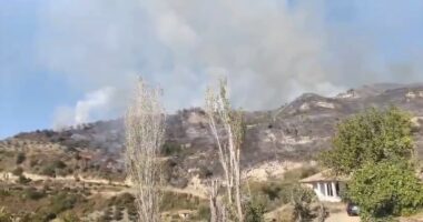 Zjarr në Peqin, digjet sipërfaqja me ullinj dhe bimësi