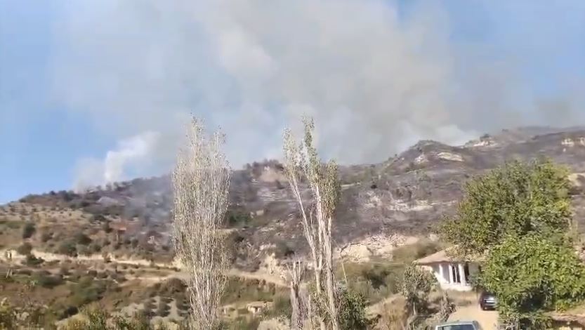 Zjarr në Peqin, digjet sipërfaqja me ullinj dhe bimësi
