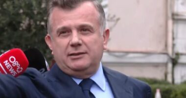 “Përdorimi i të miturve për dhunë, e papranueshme”/ Balla: PD i ka paguar. Berisha, instruktori i goditjes së selisë së PS