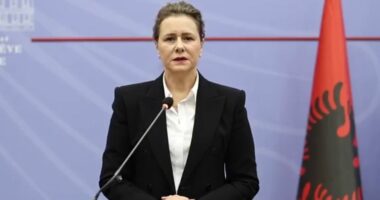 Protestat, zv.ministrja e Brendshme: Të miturit nuk duhet të përfshihen në përplasje politike