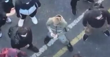 Protestë para Ministrisë së Arsimit/ Dhjetëra vetë përleshen me policinë. Disa të lënduar