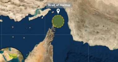 OKB: Bllokada në Ngushticën e Hormuzit rrezikon sigurinë ushqimore globale