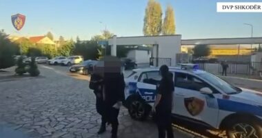 VIDEO/ Goditet grupi kriminal i drogës në Shkodër, sekuestrohen 265 kilogramë kanabis dhe 2 mina të dyshuara antitank