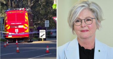 Australi, goditet me makinë deputetja/ Në gjendje të rëndë pas sulmit jashtë zyrës elektorale