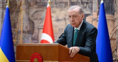 Presidenti turk: Sulmet ndaj anijeve civile mund t’i përshkallëzojnë më tej tensionet në Detin e Zi
